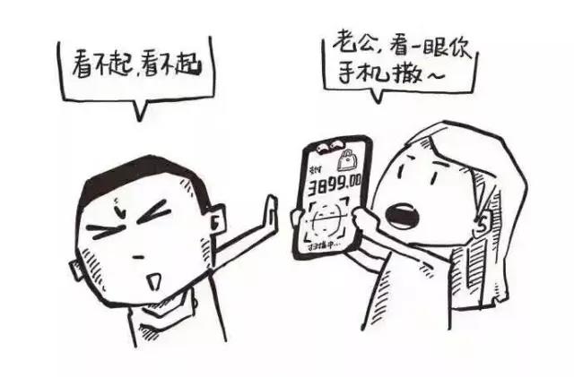 财务分析软件