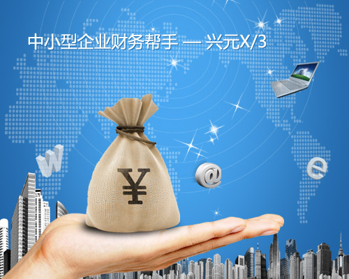 中小型企业财务帮手——兴元X/3